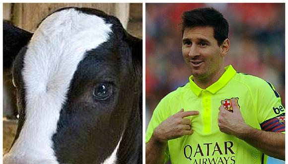 Ternero fue bautizado como Lionel Messi y la 'Pulga' le mandó regalazo