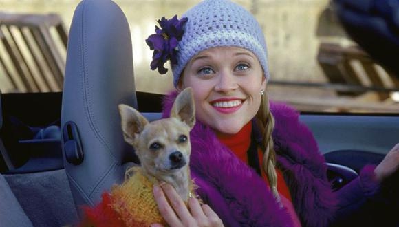Reese Witherspoon reunirá virtualmente al elenco de la película “Legalmente rubia” por una buena causa. (Foto MGM)