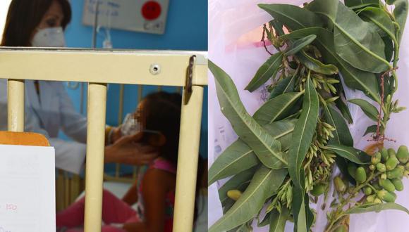 Tres menores de edad resultaron intoxicados tras ingerir los frutos de una planta conocida como 'hierba santa'. (Foto: Instituto Nacional de Salud del Niño de Breña)