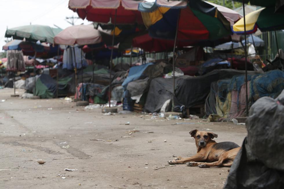 Así luce Lima en el día 21 de cuarentena con el tránsito prohibido de todas las personas. Foto: Francisco Neyra / GEC