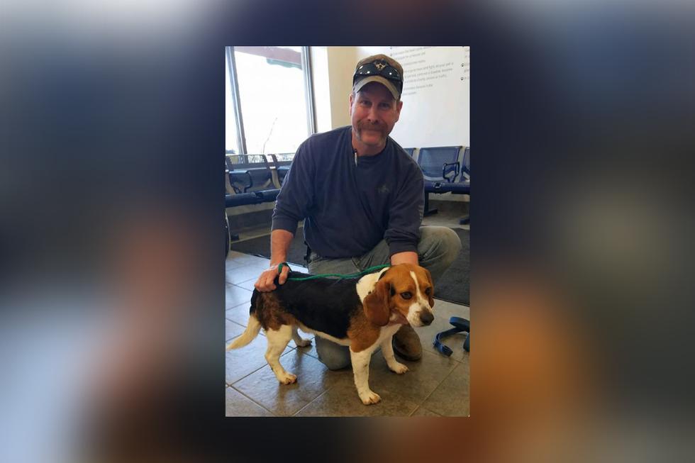 'Gregory' ahora vive feliz con sus nuevos dueños, que se dedican a encontrar perros abandonados a punto de ser sacrificados para buscarles un nuevo hogar. (Foto: Schenley Hutson Kirk en Facebook)