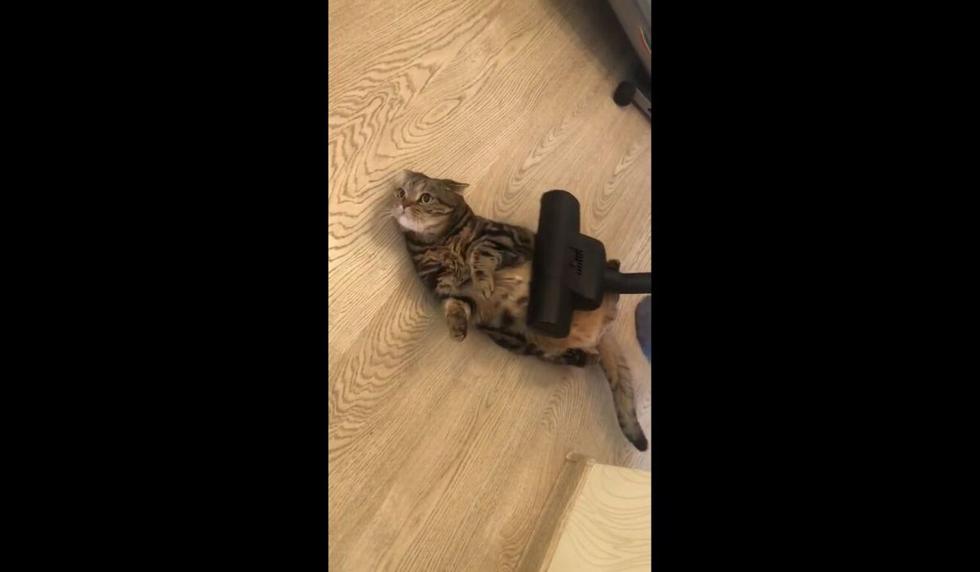 El clip fue grabado en Rusia. (Captura)