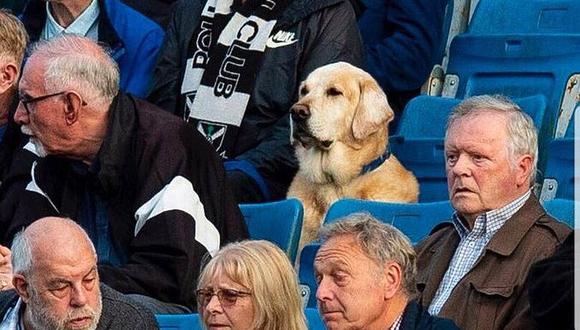 Facebook Viral: conoce a Yardley, el perro que sigue a todos lados a un club en Escocia | VIDEO