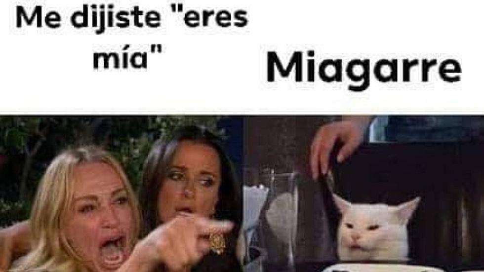 ¡Llegó el vacilón! Meme del gato y la mujer gritando | Mira las 20 mejores imágenes que te harán matar de risa | FOTOS