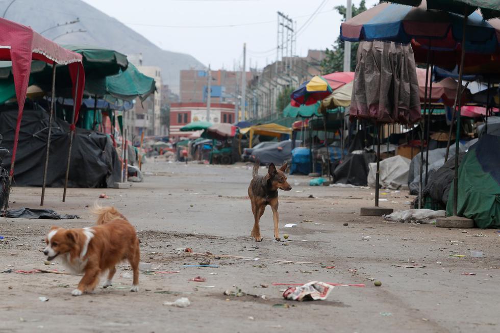 Así luce Lima en el día 21 de cuarentena con el tránsito prohibido de todas las personas. Foto: Francisco Neyra / GEC