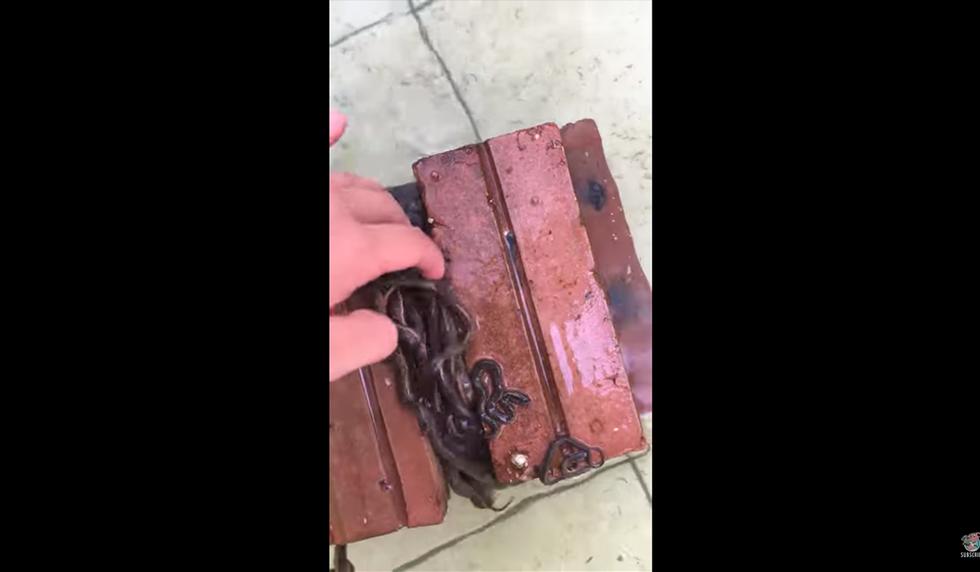 Un hombre se llevó tremendo susto al encontrar decenas de pequeñas serpiente en una pila de ladrillos. El video es viral en redes sociales. (YouTube)