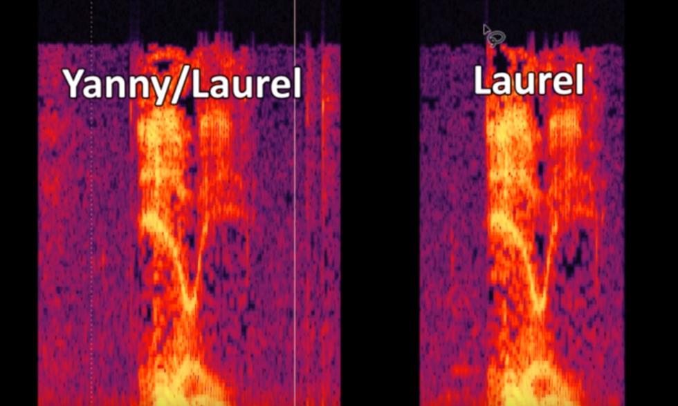 ¿Escuchas Yanny o Laurel? El audio viral que muchos no han podido descifrar en la cuarentena