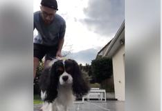 Joven intentó el reto del papel higiénico y su perrito le arruinó el final (VIDEO)