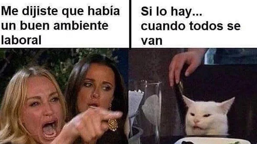 ¡Llegó el vacilón! Meme del gato y la mujer gritando | Mira las 20 mejores imágenes que te harán matar de risa | FOTOS