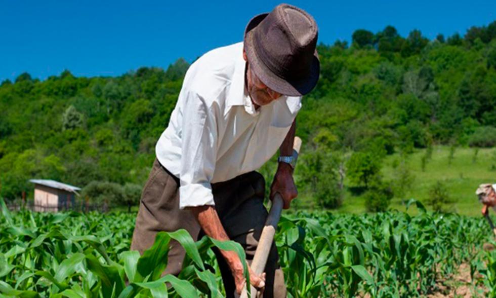 Este bono está dirigido solo para los peruanos que trabajen en el sector agrario