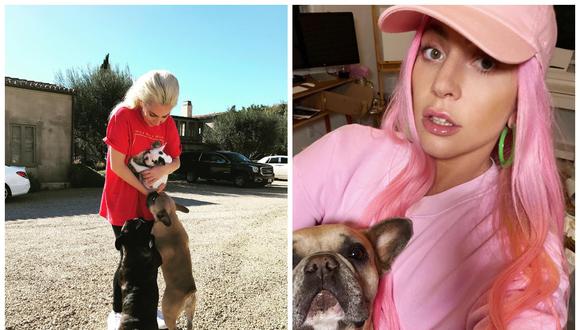 Lady Gaga: Cinco sospechosos del asalto al paseador de sus perros fueron detenidos. (Foto: Instagram)