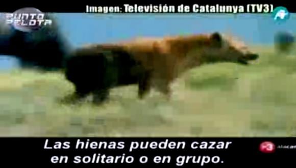 Los jugadores del Madrid comparados con hienas a la caza de Messi [VIDEO]