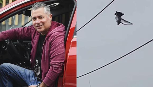 Mathías Brivio celebró rescate de una paloma que estaba atrapada entre cables de Barranca. (Foto: @mathiasbrivio/ Captura de video)