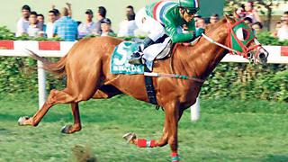 Hípica: Estos son los prónosticos de hoy