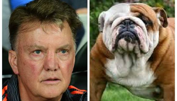 Manchester United: Marco Rojo compara a Louis Van Gaal con un perro bulldog