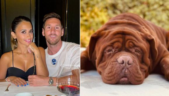 Messi y su familia viajaron a Barcelona. Ellos se reencontraron con su mascota. Foto: (composición/antonelaroccuzz)