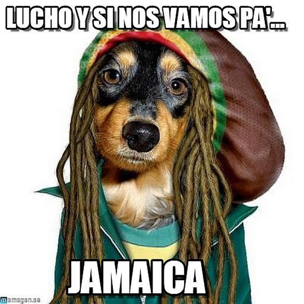 Memes encienden el Perú vs Jamaica en su previa [FOTOS]