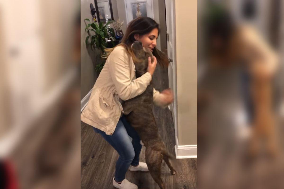 El perro se levantó en dos patas para pedirle perdón a su 'mamá'. (Foto: Captura de video de Facebook)