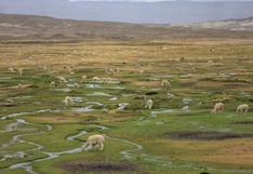 Arequipa: impulsan la conservación de las fuentes naturales de agua para fortalecer la seguridad hídrica del país