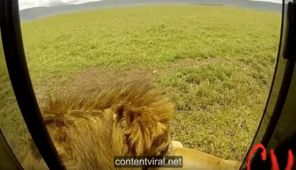 Video de YouTube generó conmoción entre los usuarios de la red social. (Foto: Captura)