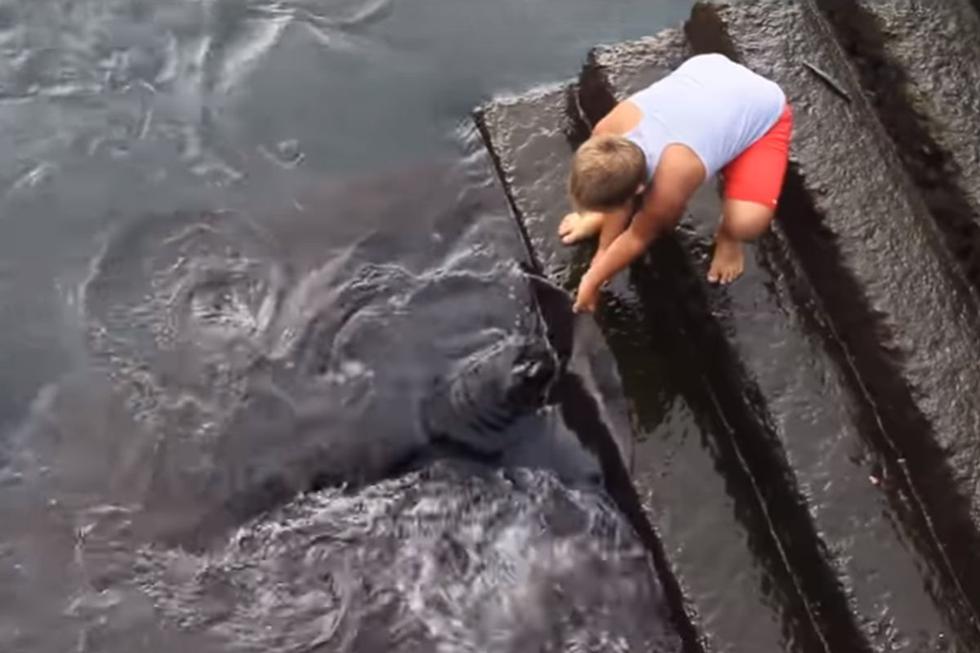 El niño y el animal mostraron tener un lazo único de amistad. (YouTube: gekkovision)