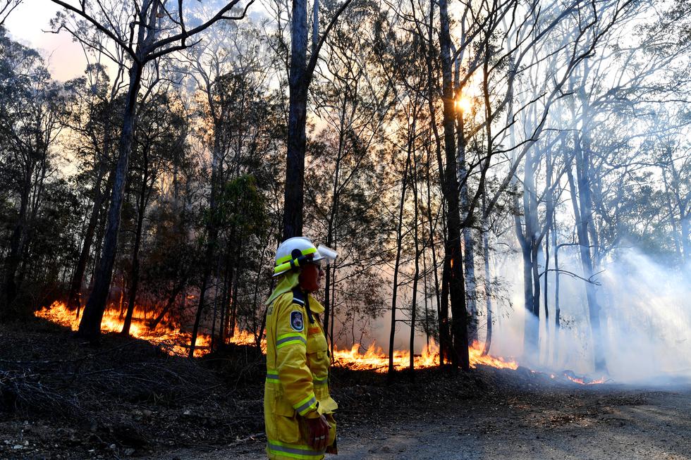 Se cree que casi 6 millones de hectáreas de bosques han sido destruidos por los incendios. (Foto: SAEED KHAN / AFP)