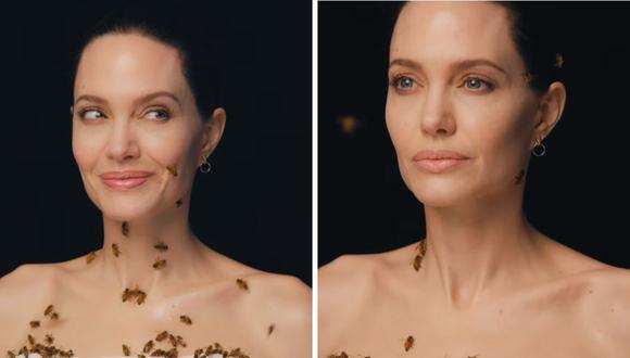 Angelina Jolie en campaña a favor del Día Mundial de las abejas . (Foto: Captura YouTube)