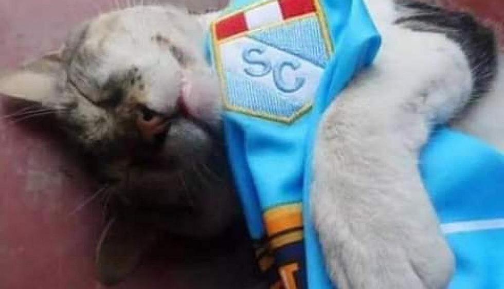 ¡A reír! Sporting Cristal es víctima de memes en redes sociales tras eliminación ante Atlético Grau | FOTOS