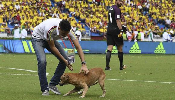 Colombia vs. Brasil: Perro se metió a la cancha en pleno partido