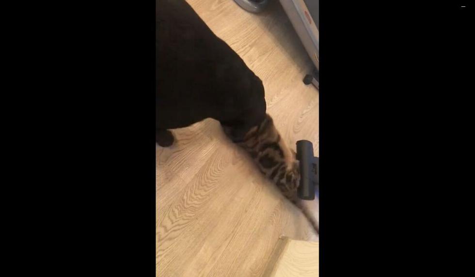 El material puede volverse sumamente popular en poco tiempo. (Captura)