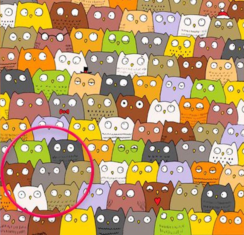 Resuelven el misterio en el juego de “encuentra al gato" [RESPUESTA]