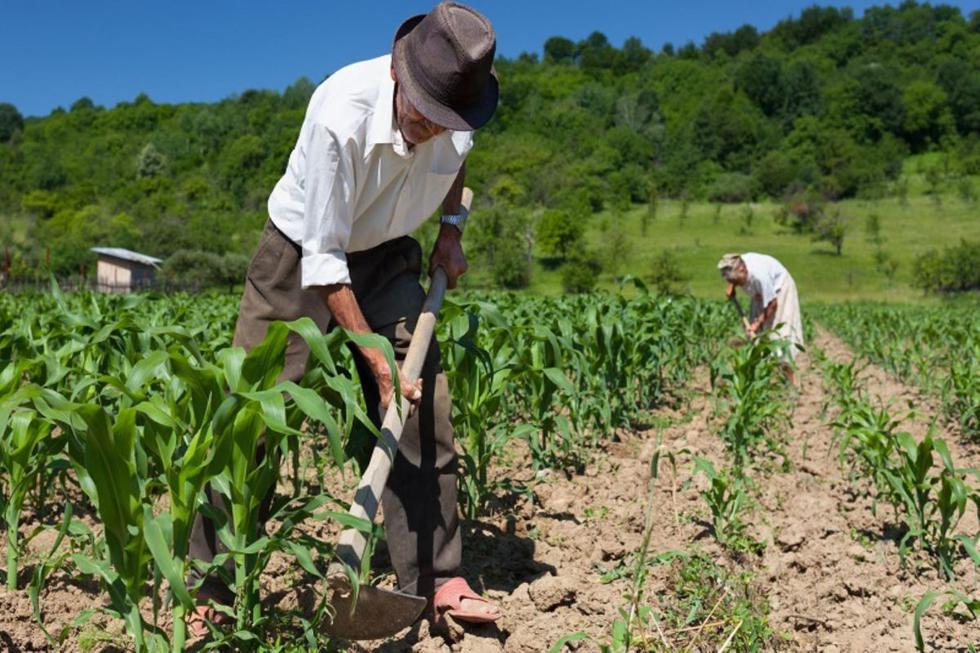 El Gobierno otorgará un bono de 760 soles a más de un millón de hogares que viven en las zonas rurales del país, afectadas por el aislamiento domiciliario y la inmovilización social obligatoria (Foto: Andina)