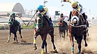 Hípica: Estos son los prónosticos