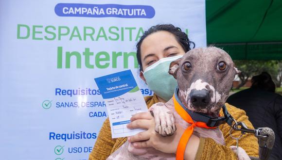 Después del ‘Vacunapet’, habrá más campañas de vacunación para mascotas durante todo el mes de octubre. Foto: Municipalidad de Surco