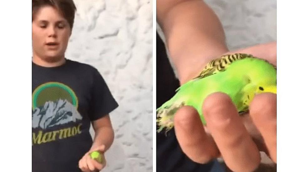 Perú vs. Chile: hinchas peruanos hicieron tendencia el #VamosChile para 'salar' a 'La Roja' | FOTO