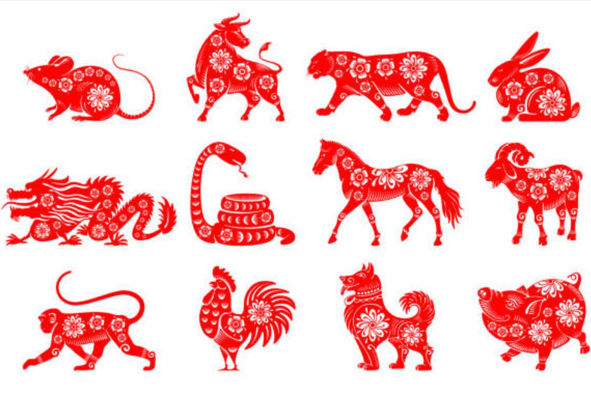 Predicciones 2022, Conoce las predicciones del horóscopo chino 2022 para  los signos zodiacales en el Año del Tigre de Agua, Ludovica Squirru, Animales, Signos zodiacales, China nnda-nnlt, TRENDS