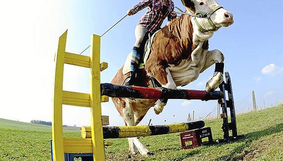 Cambia el 
caballo
por una 
vaca