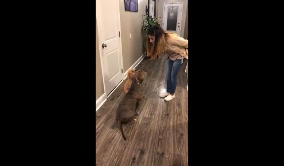 Esta escena tuvo lugar en México.  (Captura)