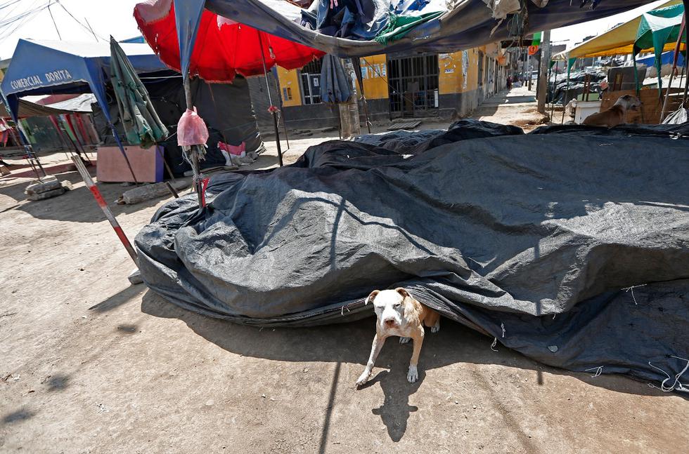 Así luce Lima en el día 21 de cuarentena con el tránsito prohibido de todas las personas. Foto: Francisco Neyra / GEC