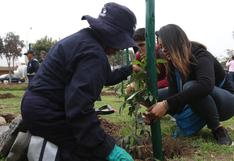 Municipalidad de San Borja promueve entre vecinos la campaña “Adopta un árbol”