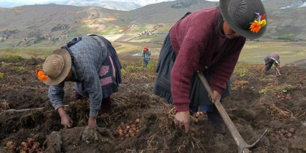 Bono Rural 760: Qué requisitos y quiénes serán los beneficiarios de esta subsidio del gobierno peruano