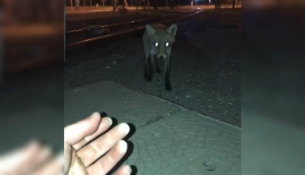 Sin dudarlo, el joven comenzó a llamarlo. (Facebook: @theCHIVE)