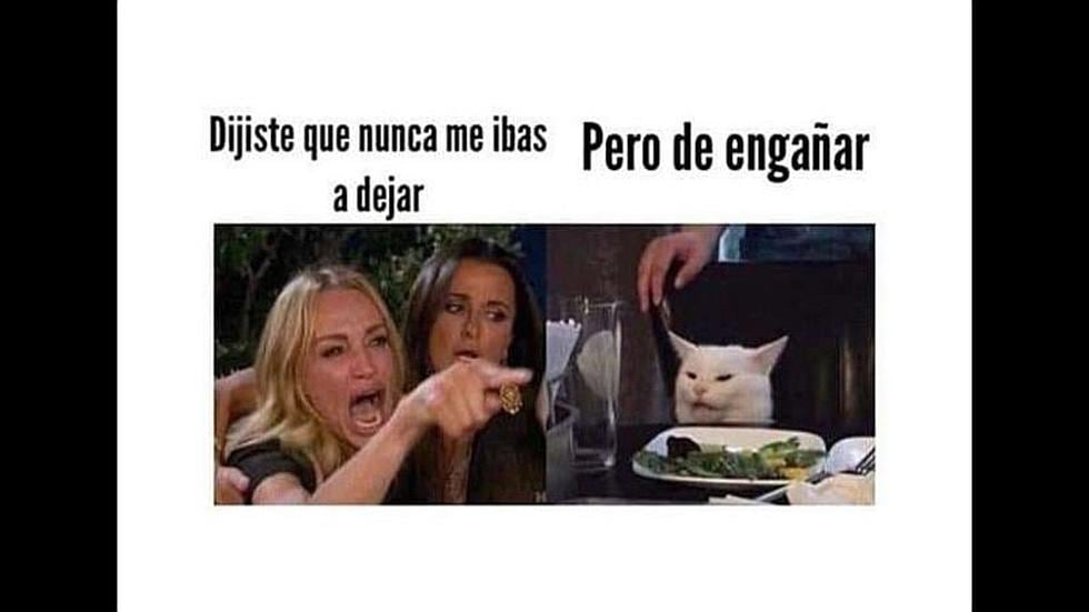 ¡Llegó el vacilón! Meme del gato y la mujer gritando | Mira las 20 mejores imágenes que te harán matar de risa | FOTOS