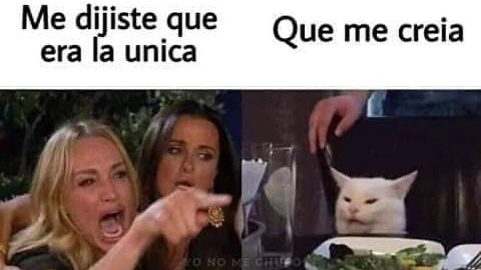 ¡Llegó el vacilón! Meme del gato y la mujer gritando | Mira las 20 mejores imágenes que te harán matar de risa | FOTOS