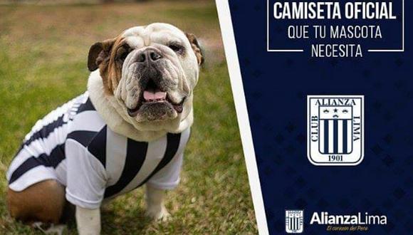​Alianza Lima lanza simpática indumentaria oficial para mascotas [FOTO]