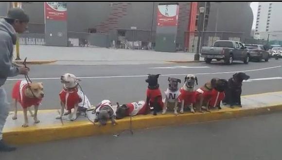 Perú vs. Ecuador: Mascotas llegan al Nacional con la camiseta blanquirroja