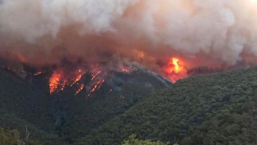 Se cree que casi 6 millones de hectáreas de bosques han sido destruidos por los incendios. (Foto: EPA, via BBC Mundo)