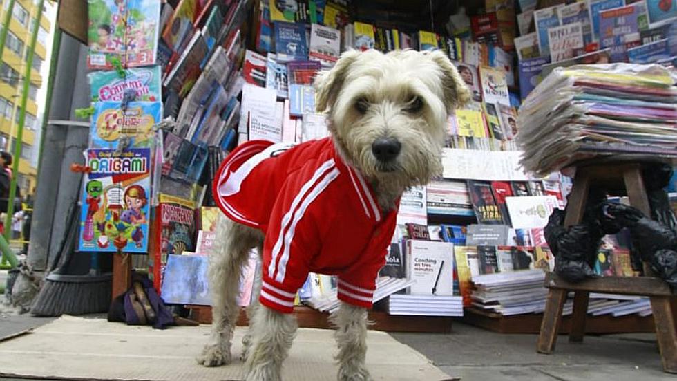 Perú vs. Escocia: así se vive la previa a horas del partido [FOTOS]