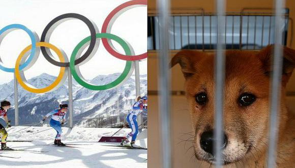 Restaurantes seguirán vendiendo carne de perro en los Juegos Olímpicos