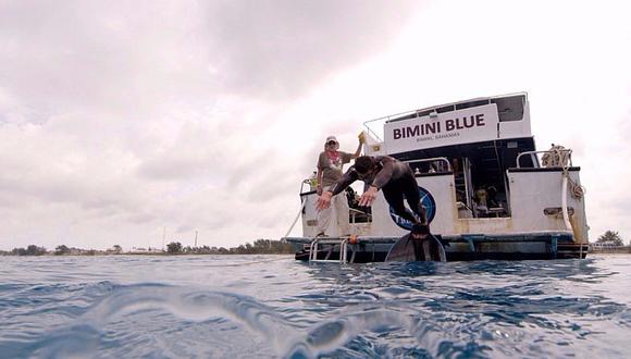 La alucinante experiencia de Michael Phelps al nadar con tiburón [FOTO]